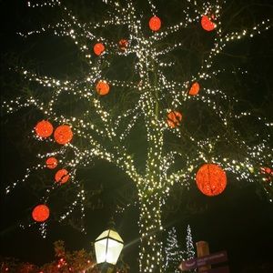 Meet your Posher, Kiran